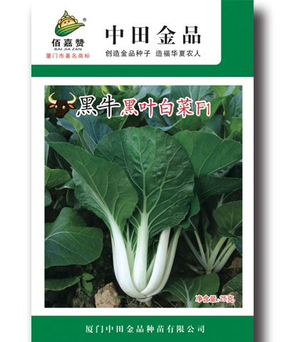 黑牛黒葉白菜 25g/包