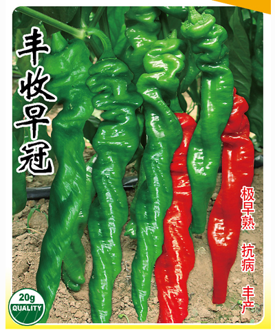 豐收早冠