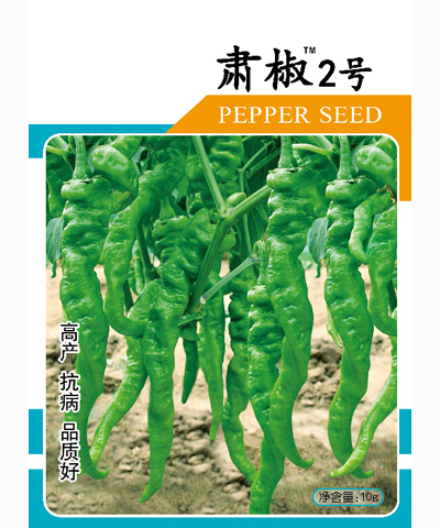肅椒2號