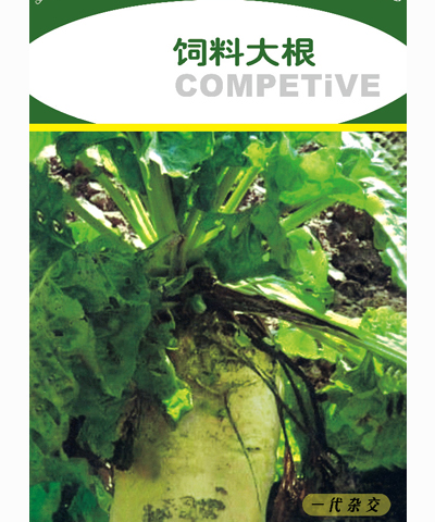 飼料大根