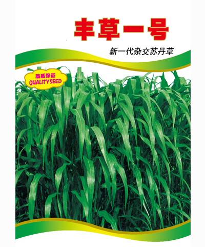豐草一號(hào)
