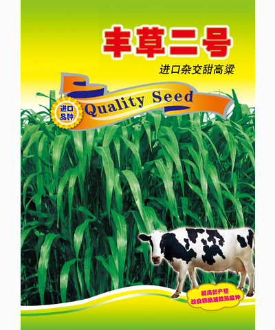 豐草二號(hào)