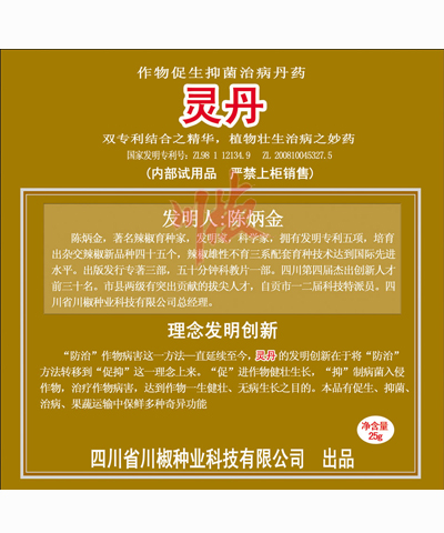 靈丹 