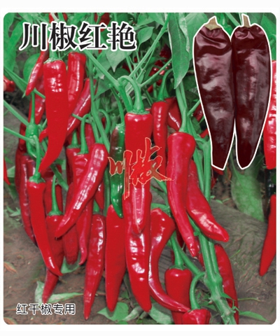 川椒紅艷