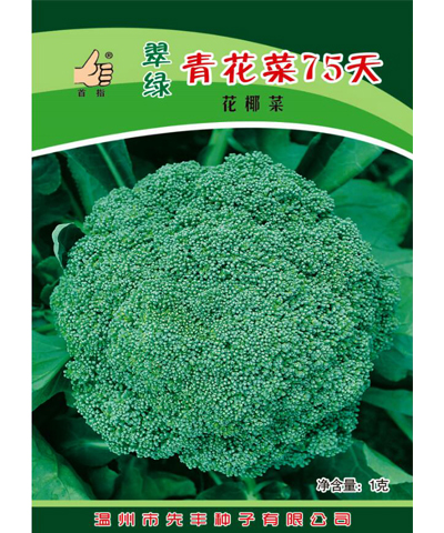 翠綠青花菜75天(凈含量：1克)