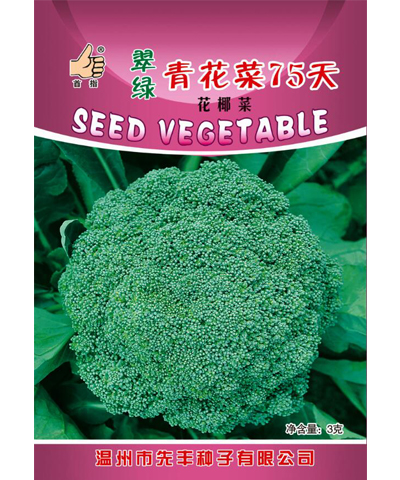 翠綠青花菜75天(凈含量：3克)