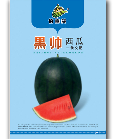 黑帥西瓜   10g/包