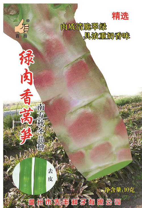 綠肉香萵筍