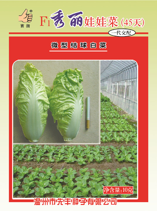 秀麗娃娃菜45天