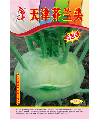 天津芥蘭頭15g