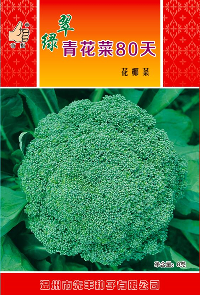 翠綠青花菜80天 8g