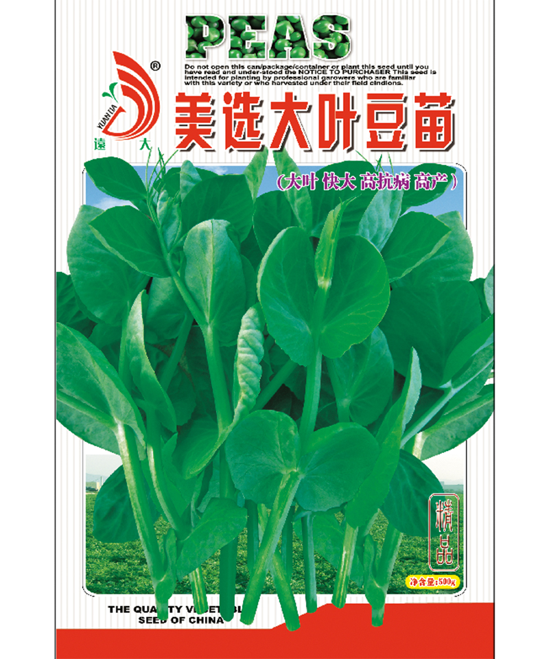 美選大葉豆苗500g