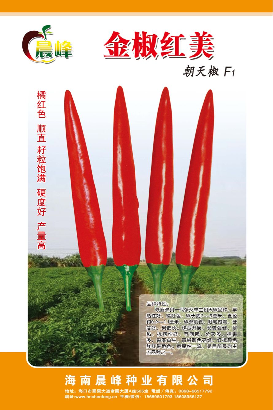 朝天椒種子-金椒紅美