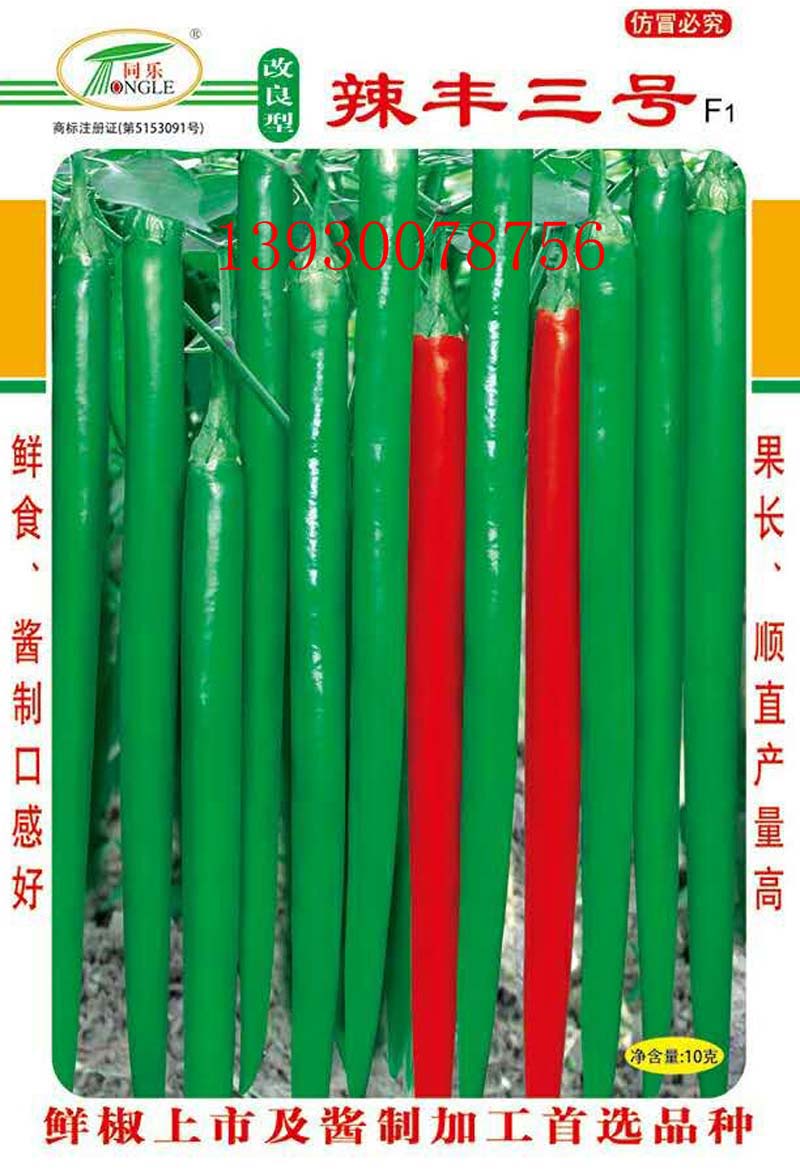 改良型辣豐三號(hào)