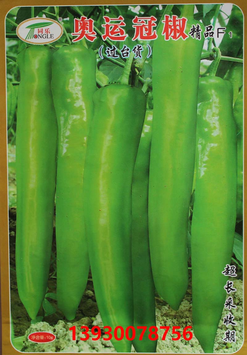 高產(chǎn)尖椒——奧運冠椒