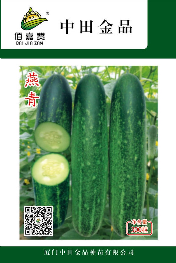 燕青臺(tái)灣胡瓜 300粒/包
