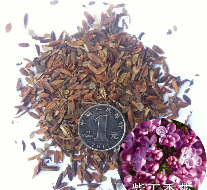 出售.紫丁香種子.暴馬丁香種子.四級(jí)丁香種子.紅丁香種子.