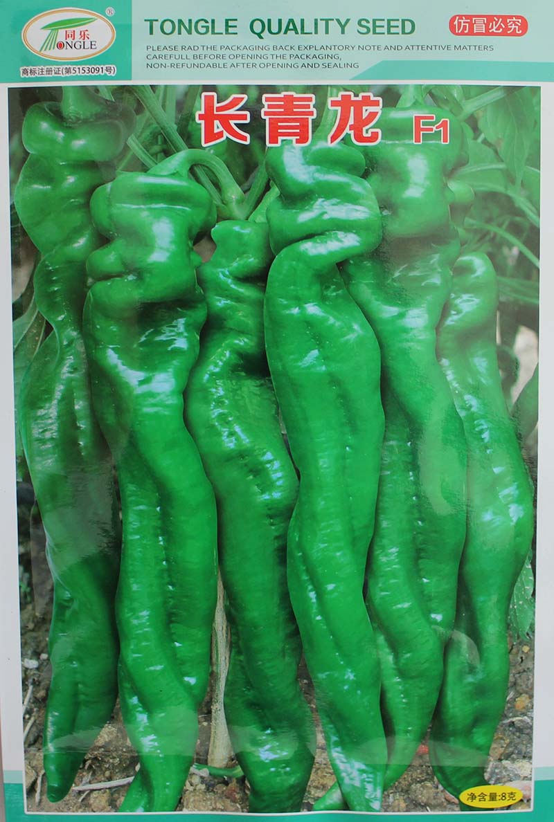 長(zhǎng)青龍