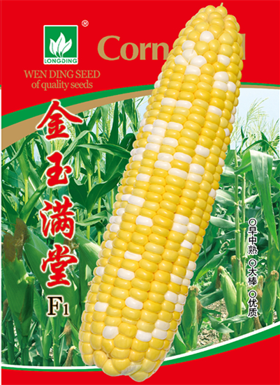 金玉滿堂