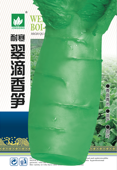 耐寒翠滴香筍