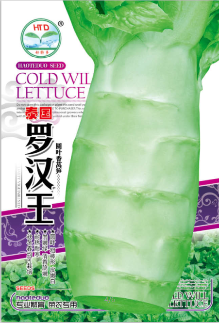羅漢單根王圓葉萵筍