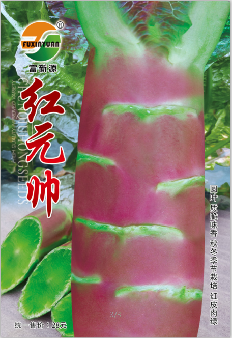 紅元帥紅圓葉萵筍