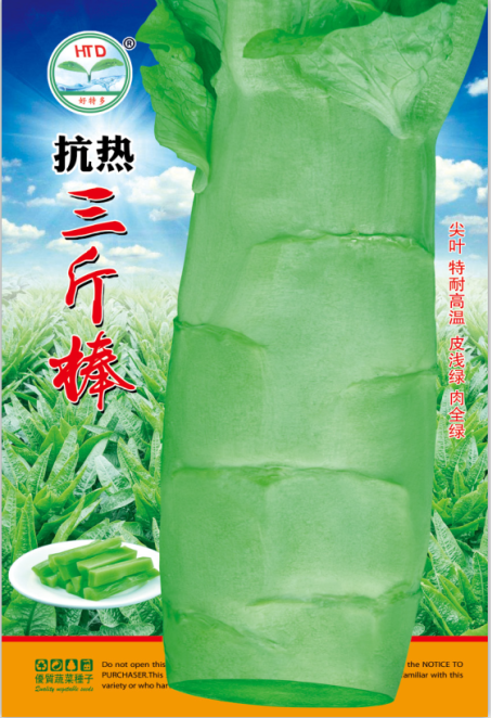 抗熱三斤棒尖葉萵筍