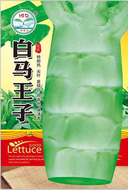 白馬王子尖葉萵筍
