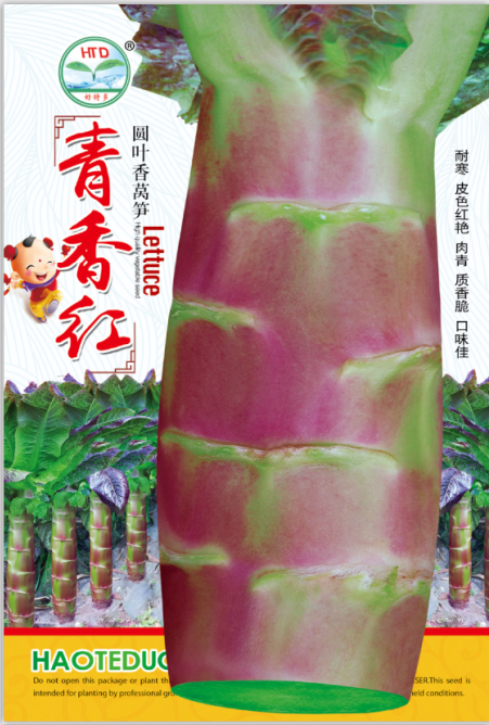 青香紅紅圓葉萵筍
