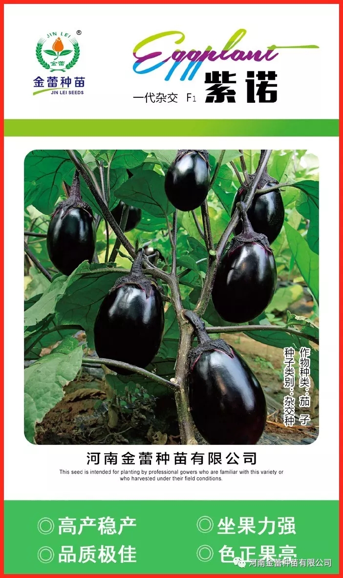 紫諾