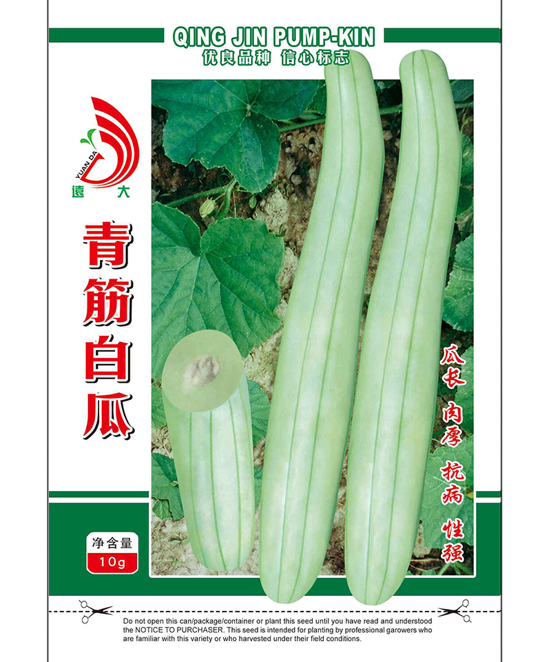 青筋白瓜