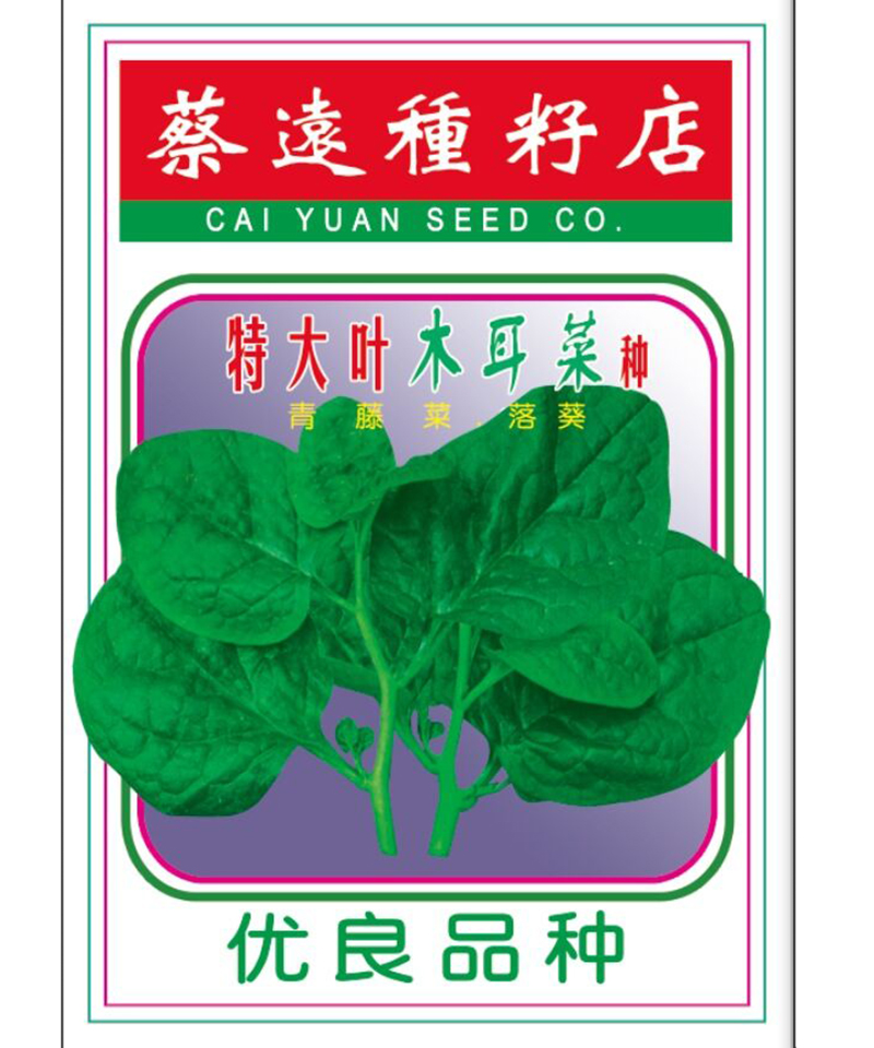 特大葉木耳菜500g