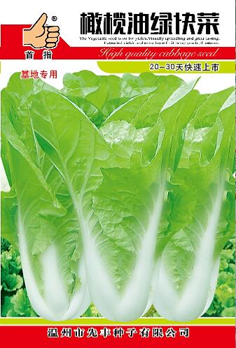 橄欖油綠快菜  16g