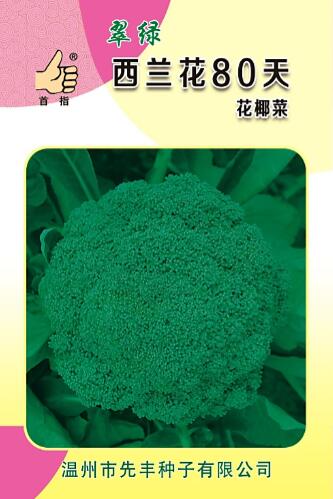 翠綠西蘭花80天 1g