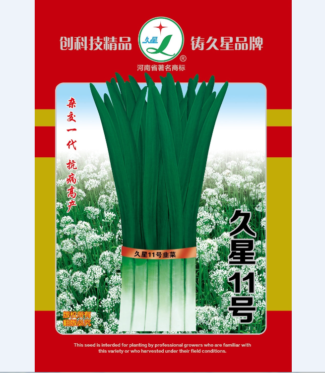 久星11號(hào)--韭菜