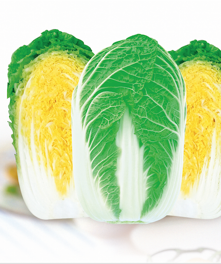 小黃蜂