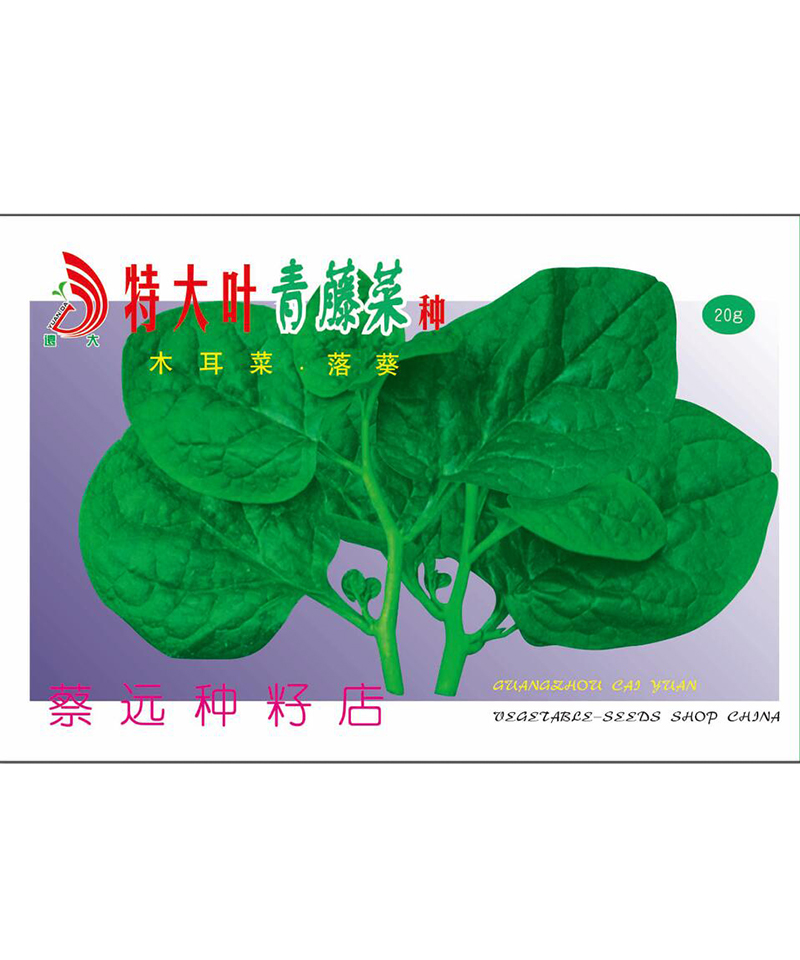 特大葉青藤菜種20g