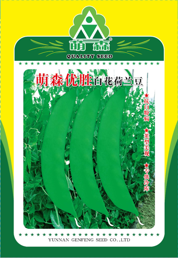萌森優(yōu)勝白花荷蘭豆