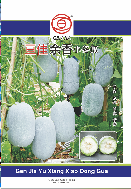 亙佳余香小冬瓜