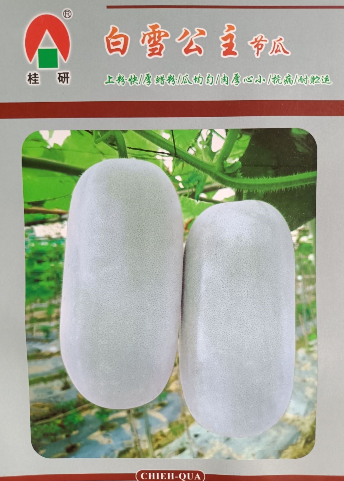 白雪公主