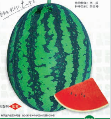 盛豐4號