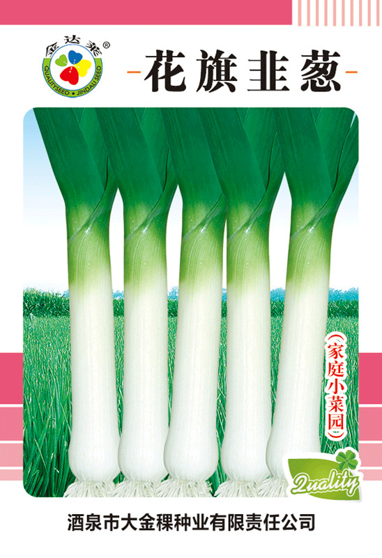 花旗韭蔥