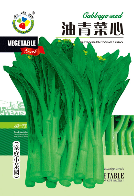 油青菜心