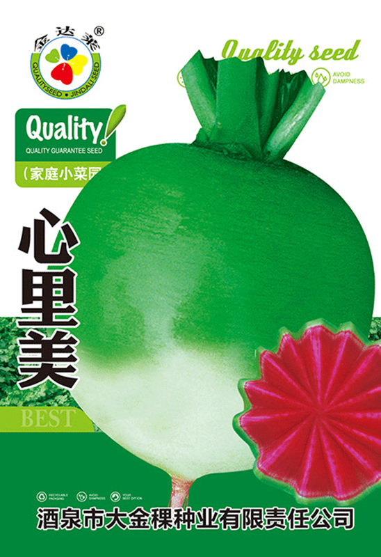 心里美蘿卜