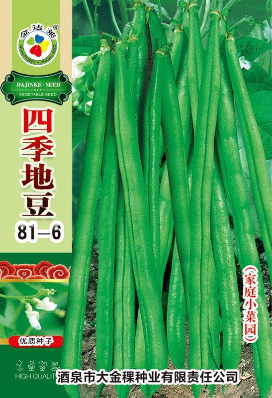 四季地豆（81-6）