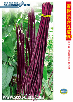 春秋特長(zhǎng)紅皮90—豇豆