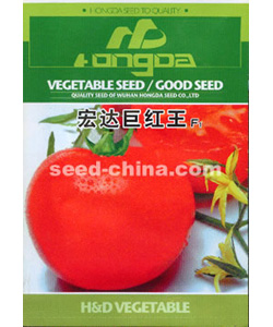 宏達(dá)巨紅王番茄