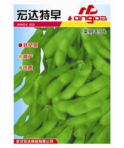 宏達(dá)特早--菜用毛豆