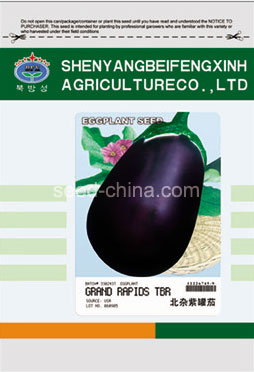 北雜紫罐茄