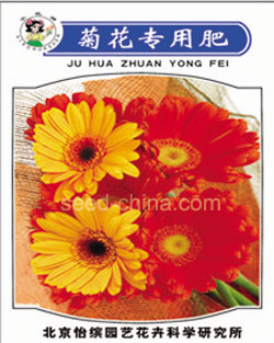 菊花專用肥